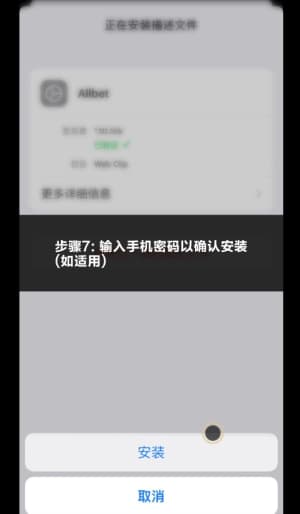 欧博iOS端安装步骤可视化示意7